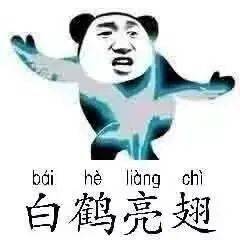 社团帮推二十四式太极通关法宝