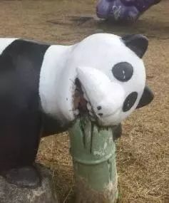 30张搞笑图片,能面无表情看完的都是高人