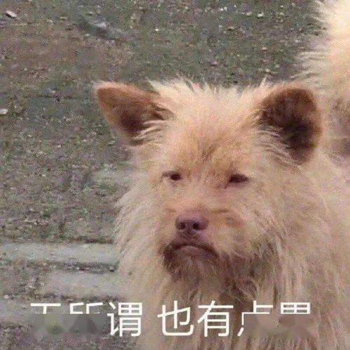 搞笑沙雕表情包