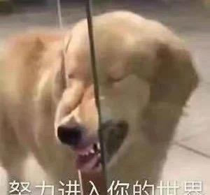 吃瓜时间到