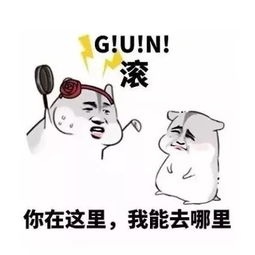 今天我要来教大家如何吵架