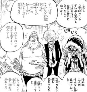 动漫人物海贼王中的主角们变老后会是什么样的体验