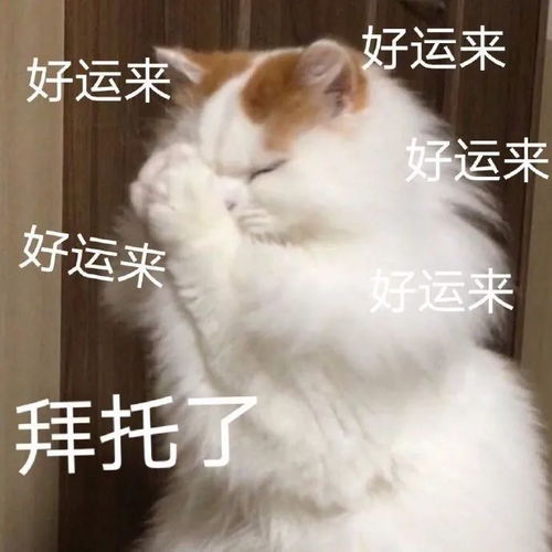 幽默搞笑表情包我爱你,小哥哥