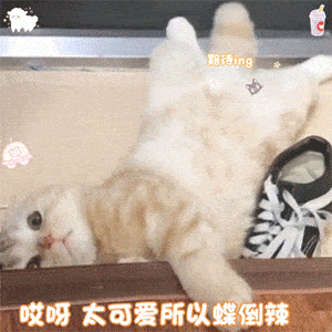 搞怪又沙雕的表情包