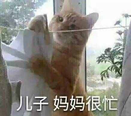 斗图搞笑表情包图片奥特曼