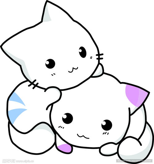 猫设计图
