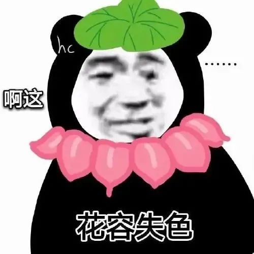 被逼去do,竟填成花栗鼠妈生建模脸后悔死了吧...