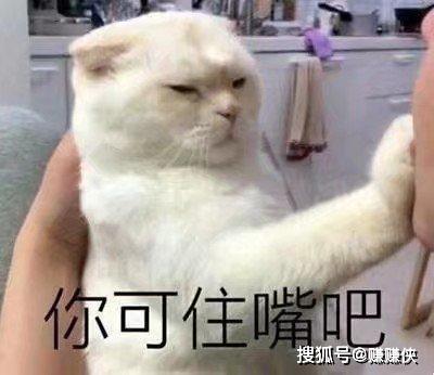 人人都爱表情包图片打爆你的狗头