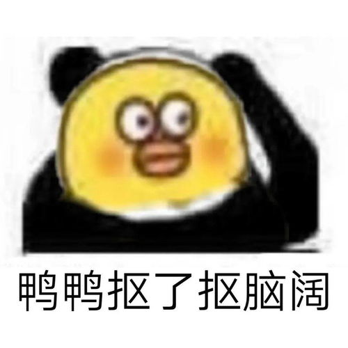 日常搞笑熊猫头表情包
