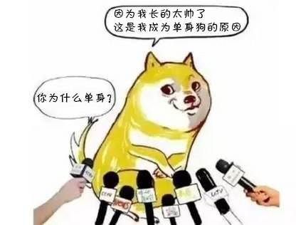 有趣表情包我凭实力叫单身狗,有些话有必要说一说
