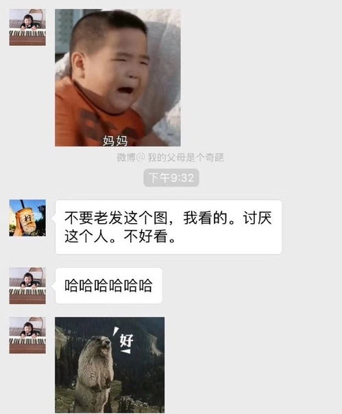 动图宇宙告别中老年,爸妈的表情包骚起来孩子都比不了