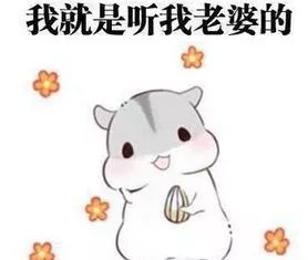 头条全国怕老婆排名新鲜出炉,宁夏男人怕老婆排第一,你怎么看