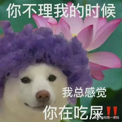 聊天怼人表情包之有趣的灵魂越来越丰富