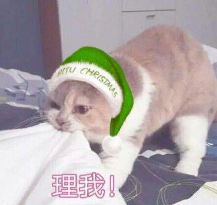 不得不承认,大部分理性消费是因为穷,而不是因为你真的理性