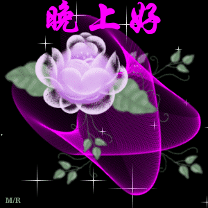 晚上好表情包晚上好微信表情