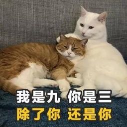 搞笑谢谢表情包土味情话
