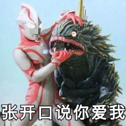 近期热图,斗图表情