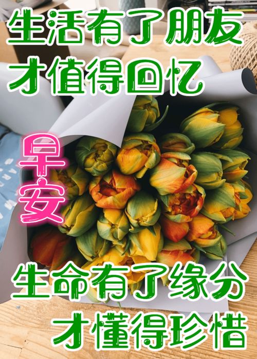 2月5日最漂亮早上好动态表情图片大全,早晨好动图美图大全
