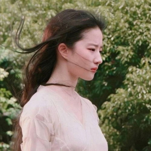 刘亦菲头像丨欢迎来到神仙姐姐的世界