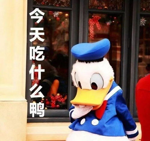 搞笑斗图表情包合集别说了,我不想听