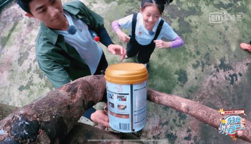 我的小尾巴收官之旅走进呀诺达人类幼崽降服哥哥名场面爆笑来袭,安崎汪苏泷谁更胜一筹