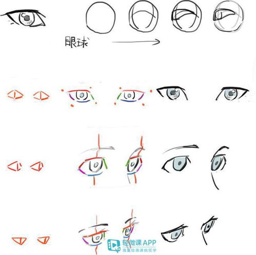怎么画动漫人物的五官动漫人物五官比例绘画