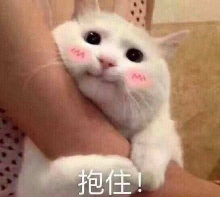 幽默段子笑话一天忽然收到暗恋女神的微信,她问我喜欢小宠物吗