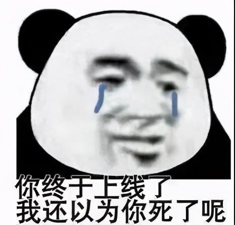 近期最火的表情包