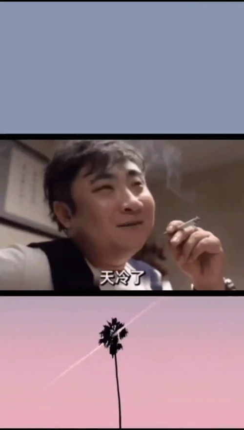 取图主页,太冷了表情包搞笑视频经典段子情侣夫妻搞笑聊天记录