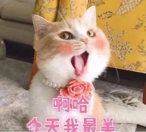 安州终于出太阳啦,但接下来的天气...
