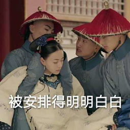 尔晴欺人太甚搞笑gif表情图片分享