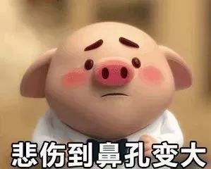 猪的图片搞笑表情图片猪小屁