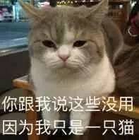 好想谈恋爱斗图表情包推送搜狐搞笑搜狐网