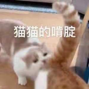 有趣的图