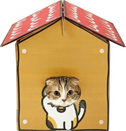 猫奴必看猫咪后院宠物玩具商业化