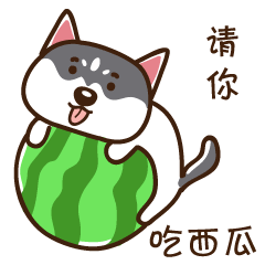 颜值太低拒绝回答搞笑的二哈微信表情带字大全