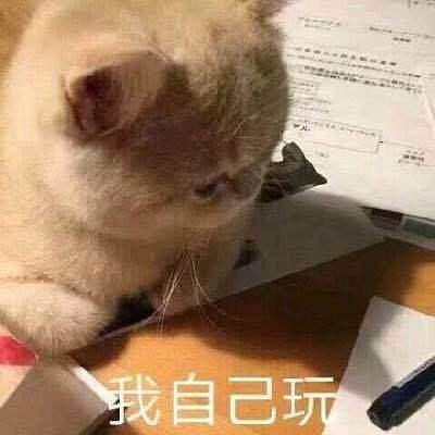 搞笑的猫咪表情包31张,拿去折腾男朋友吧