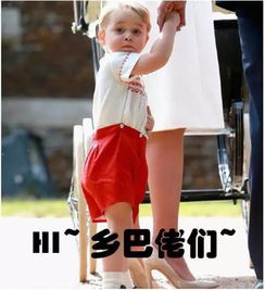 表情包都上学了乔治小王子开学,却遭杨幂李小璐孩子碾压