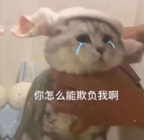 表情包丨沙雕表情包动图4.11期
