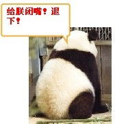 qq表情别整那没用的生气不爽图片
