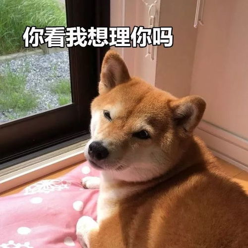 语音亲亲来一个吧