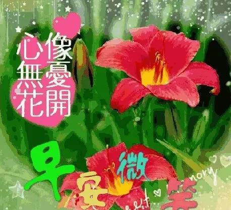 太阳冉冉升起,清风柔柔吹起花儿伸伸懒腰,喜鹊唧唧鸣唱早安祝福
