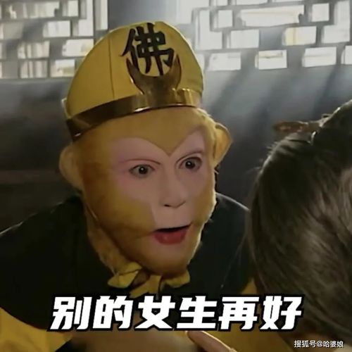 女孩子专用傲娇大师兄成套表情包
