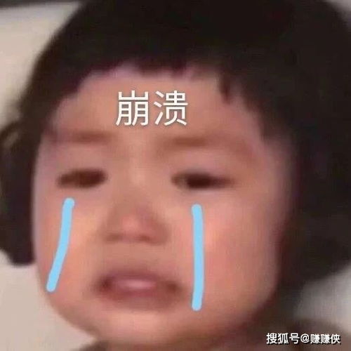 搞笑表情包图片猫狗老鼠和人