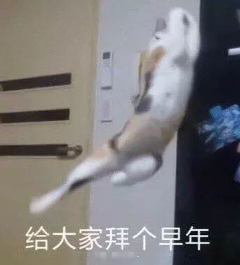 猪年拜年搞笑表情包祝你猪事顺利
