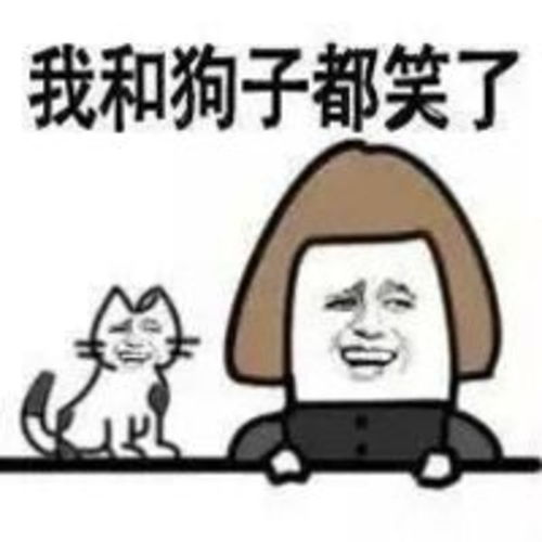 各种表情包及搞笑图片