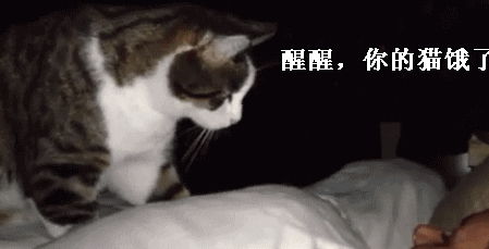 搞笑段子与对手针锋相对,一定要用人生的经验让对方羞愧难当