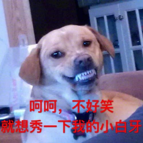 开心一笑老板肯定的说先在我这买一把刀,砍价的时候你用段子