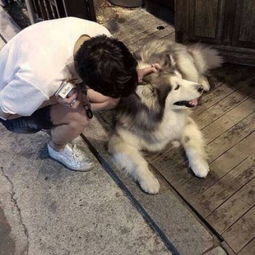 是风是雨都过去了.也不记得那天qq男生头像我要个性网