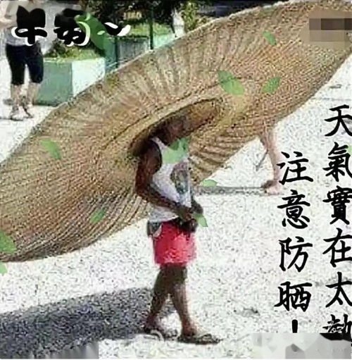 6张秋天非常有创意的秋老虎早上好图片表情带字秋天有趣的早安图片带字